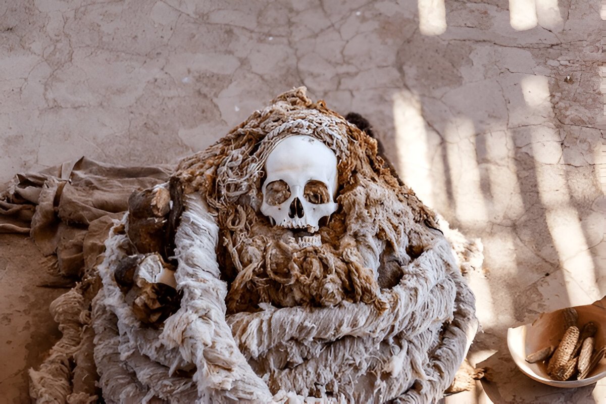 Как вырастить мумию: Уникальный опыт и его тонкости