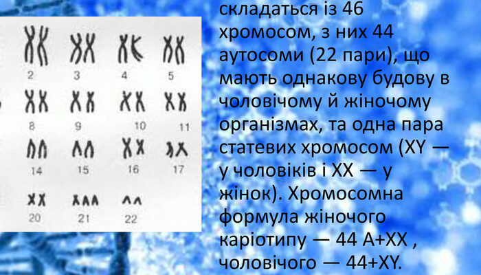 Яка хромосомна формула жіночого каріотипу та її особливості? Яка хромосомна формула жіночого каріотипу та її особливості?