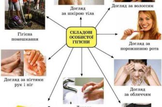 Що таке гігієна: визначення, основи та поради для здоров’я