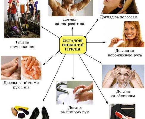 Що таке гігієна: визначення, основи та поради для здоров’я