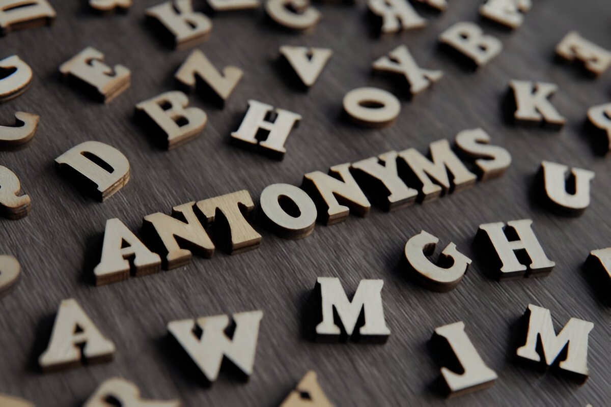 Что такое антонимы: понятие и значение