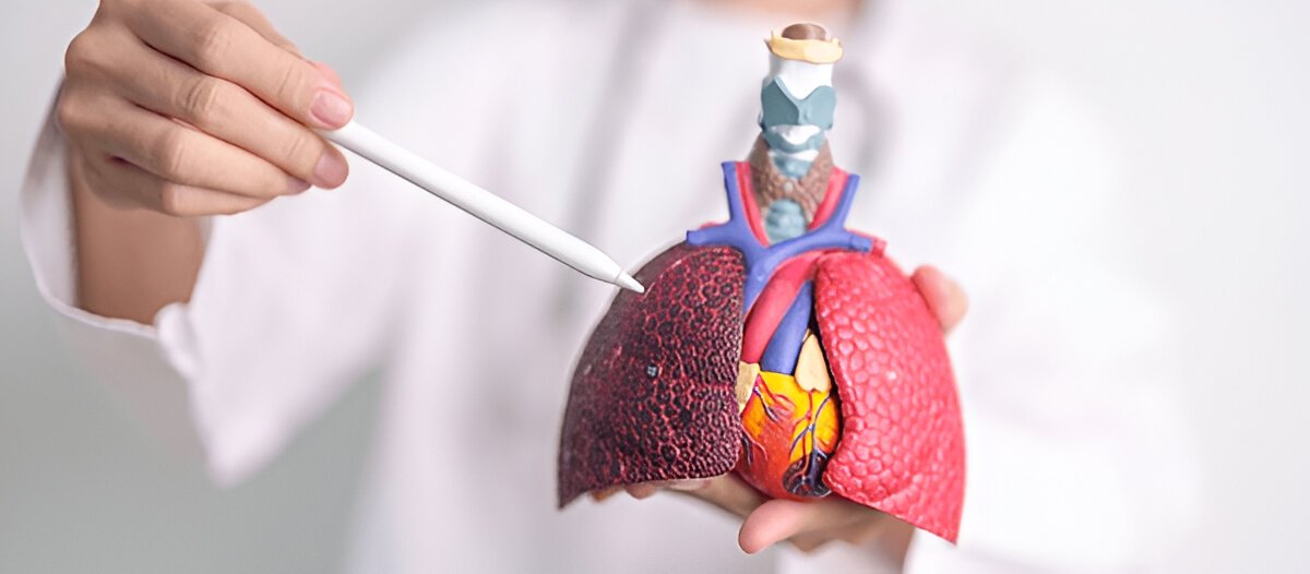 Что такое туберкулез и какие меры предосторожности помогают его избежать?