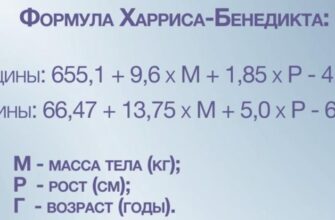 Як використовувати формулу Харріса-Бенедикта онлайн для розрахунку?