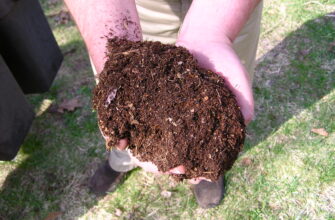 Що таке компост: визначення, користь та як його використовувати?