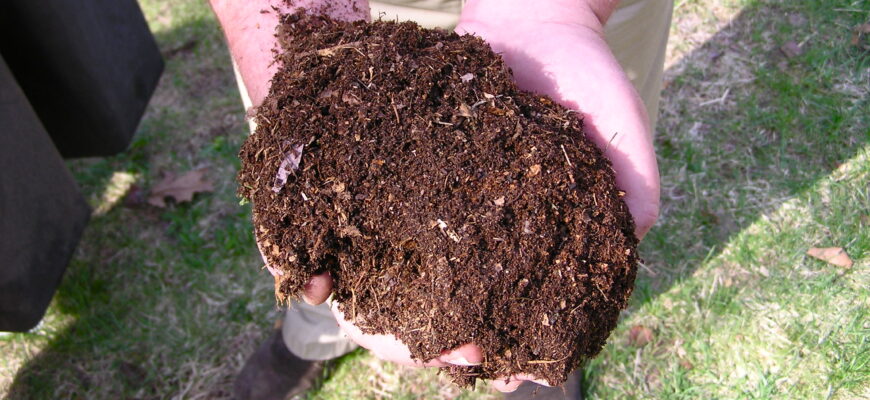 Що таке компост: визначення, користь та як його використовувати? Що таке компост: визначення, користь та як його використовувати?