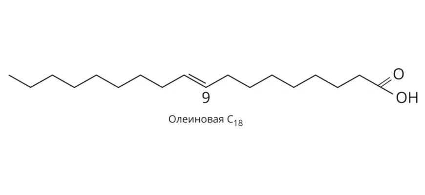Олеїнова кислота формула: як виглядає структура молекули? Олеїнова кислота формула: як виглядає структура молекули?