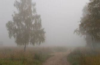 Туман це природне явище: визначення, причини та вплив на довкілля