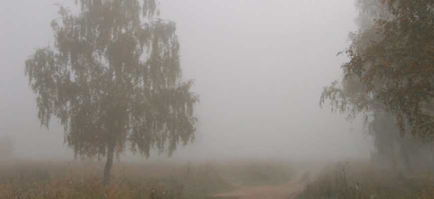 Туман це природне явище: визначення, причини та вплив на довкілля