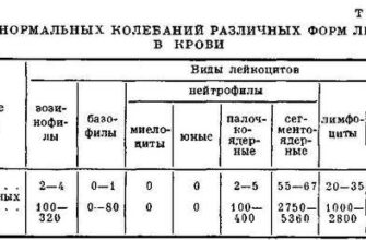 Що таке лейкоцитарна формула: норми показників крові у дорослих?