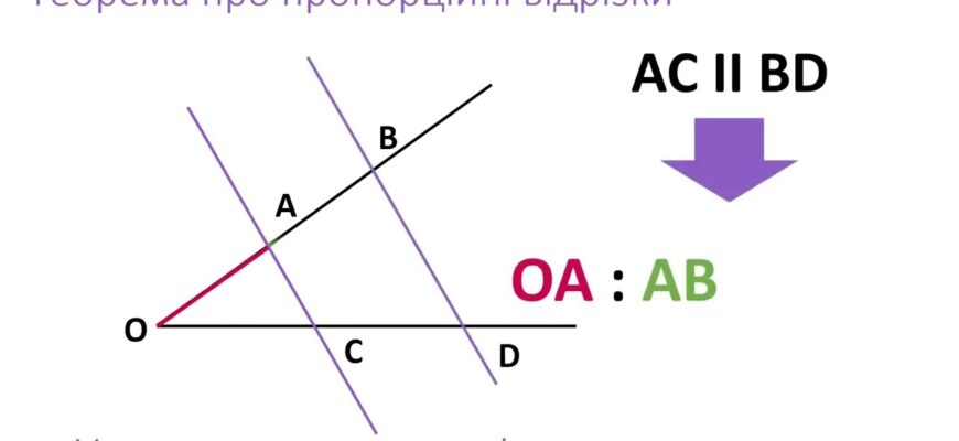 Теорема про пропорційні відрізки: як застосувати на практиці? Теорема про пропорційні відрізки: як застосувати на практиці?