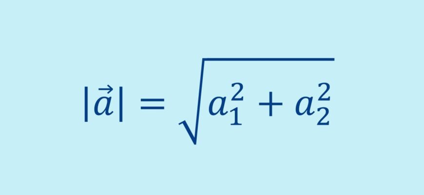 Як обчислити модуль вектора? Формула і приклади розрахунків