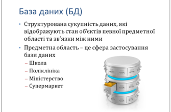 Що таке бази даних і як вони змінюють сучасний світ?