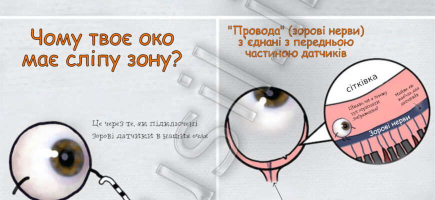 Що таке сліпа пляма: визначення та її вплив на зір людини
