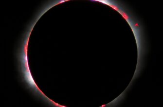 Що таке сонячне затемнення: пояснення та особливості цього явища