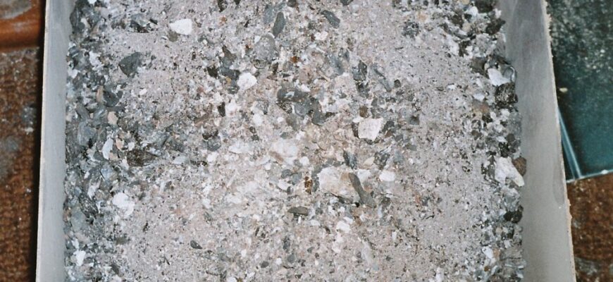 Що таке зола: визначення, поширені види та застосування в Україні