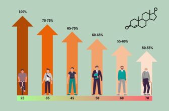 Що таке тестостерон і чому він важливий для чоловіків і жінок?