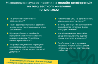 Що таке азот: ключові властивості та застосування елементу в природі