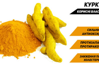 Що таке куркума: корисні властивості та застосування спеції