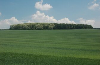 Що таке урочище: визначення, історія та сучасне значення поняття