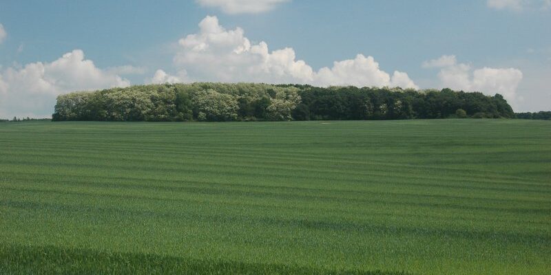 Що таке урочище: визначення, історія та сучасне значення поняття